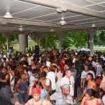 12. Crowd