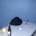 18. Wig
